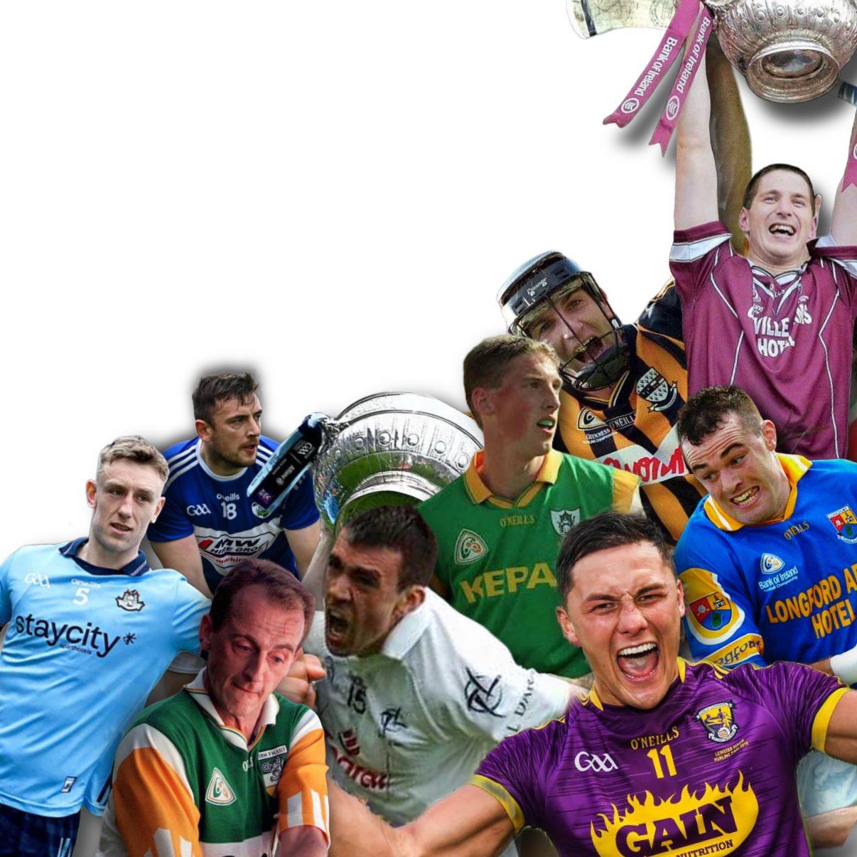 The Leinster Counties