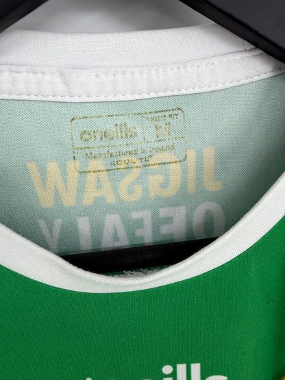 2021 Offaly GAA Jersey - #10