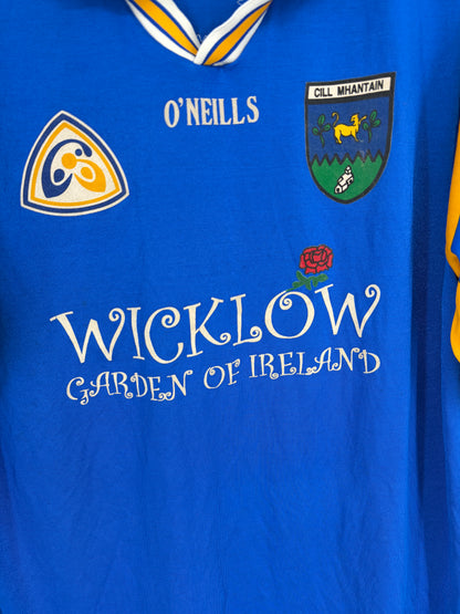 1999 Match-Worn Wicklow GAA Jersey - #13