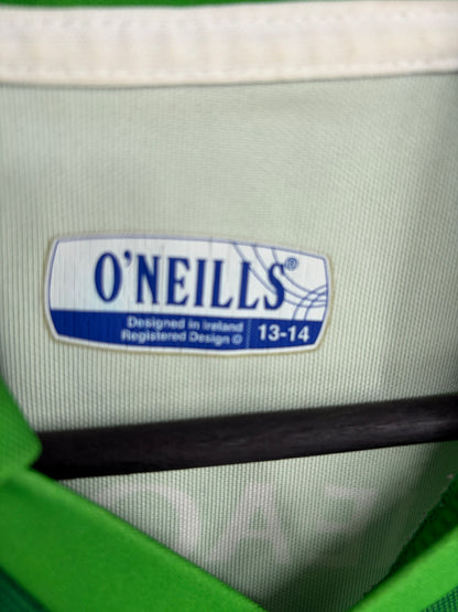 2005/07 Limerick GAA Jersey