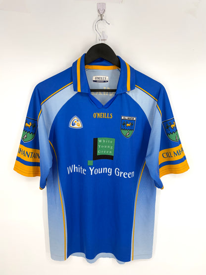 2004/06 Wicklow GAA Jersey (L)