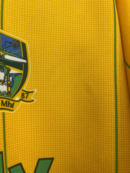 2006-08 Meath GAA Alternate Jersey