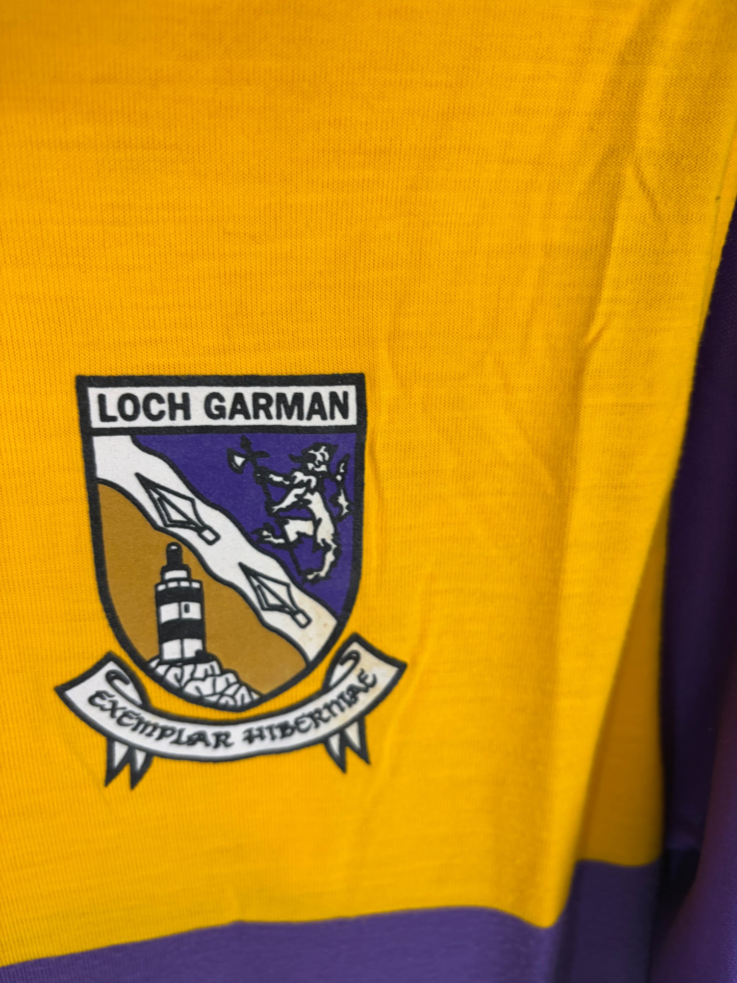 1998 Match-Worn Wexford GAA Jersey - #8