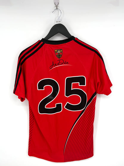 Match-Worn 2013 Down GAA Jersey - #25