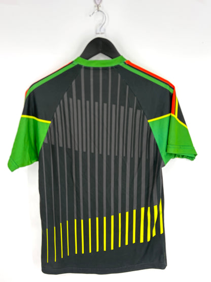 2015 Carlow GAA Training Jersey