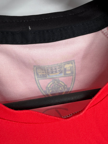 Match-Worn 2013 Down GAA Jersey - #3