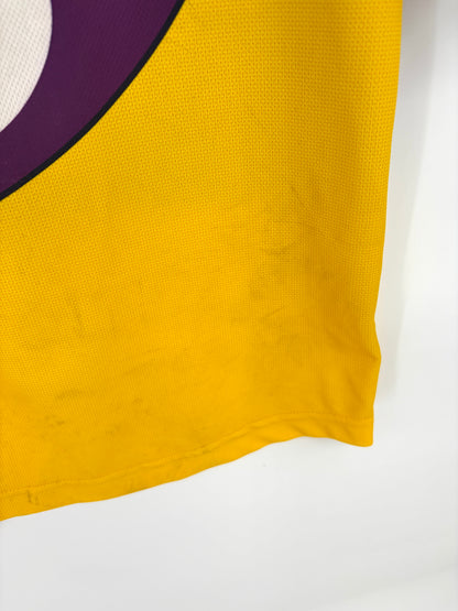 Match-Worn 2008 Wexford GAA Jersey - #8