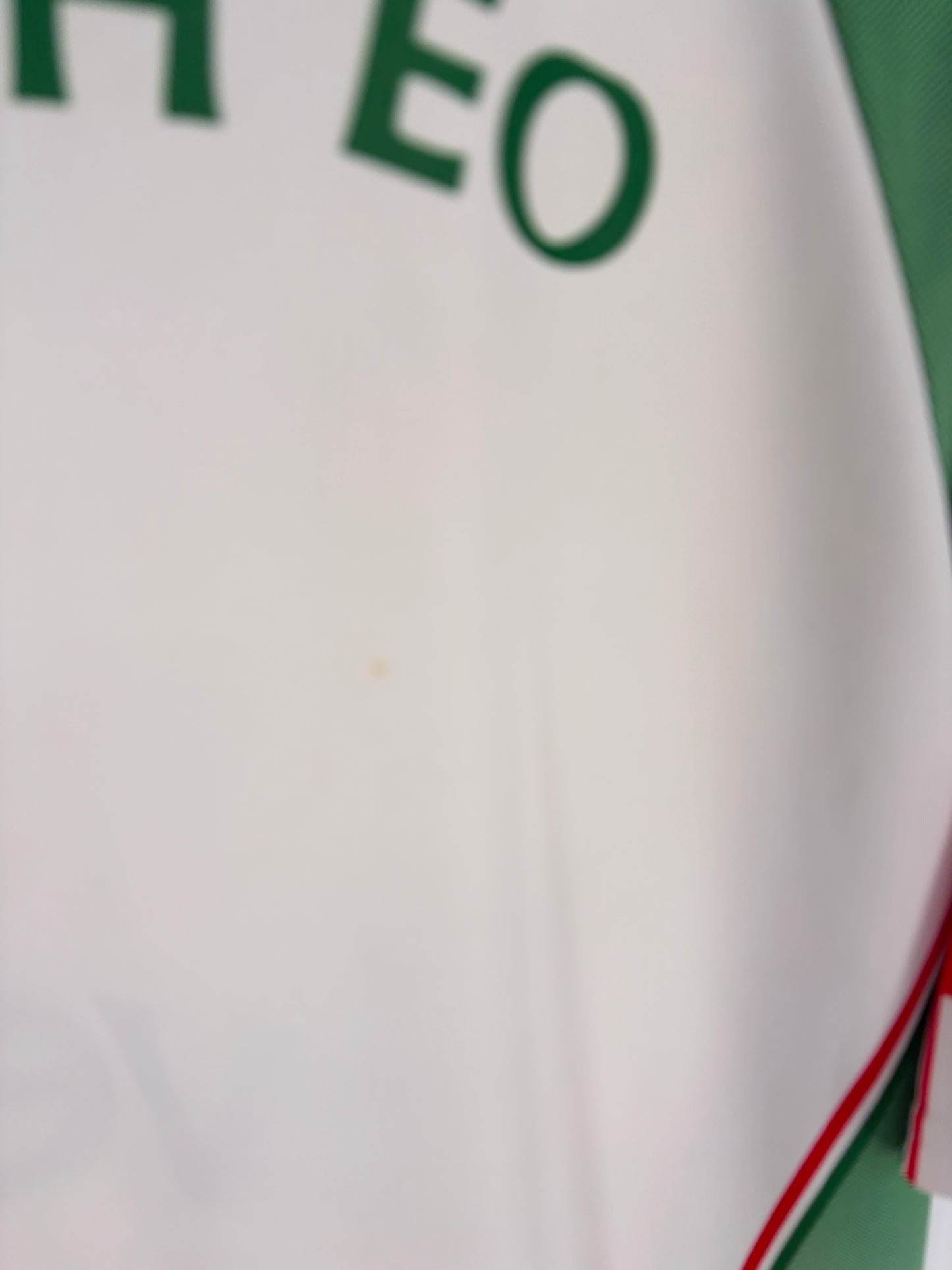 Mayo GAA 2005 Goalkeeper Jersey (L)