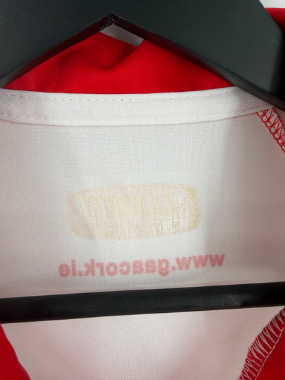 Match-Worn 2010/12 Cork GAA Jersey - #16