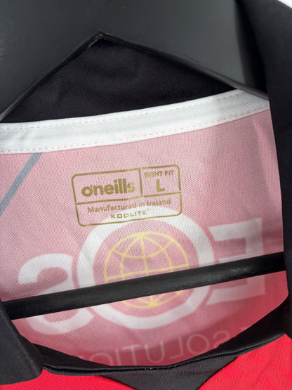 2024 Tailteann Cup Final Down GAA Jersey - #30
