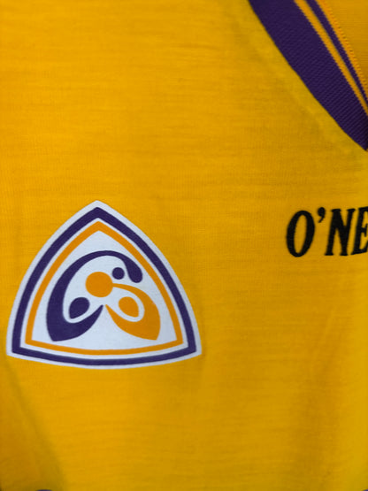 1998 Match-Worn Wexford GAA Jersey - #8