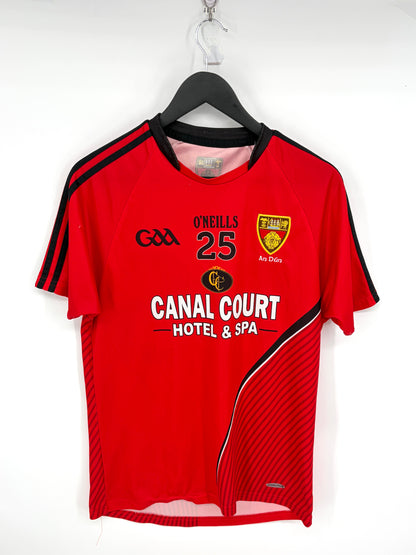 Match-Worn 2013 Down GAA Jersey - #25