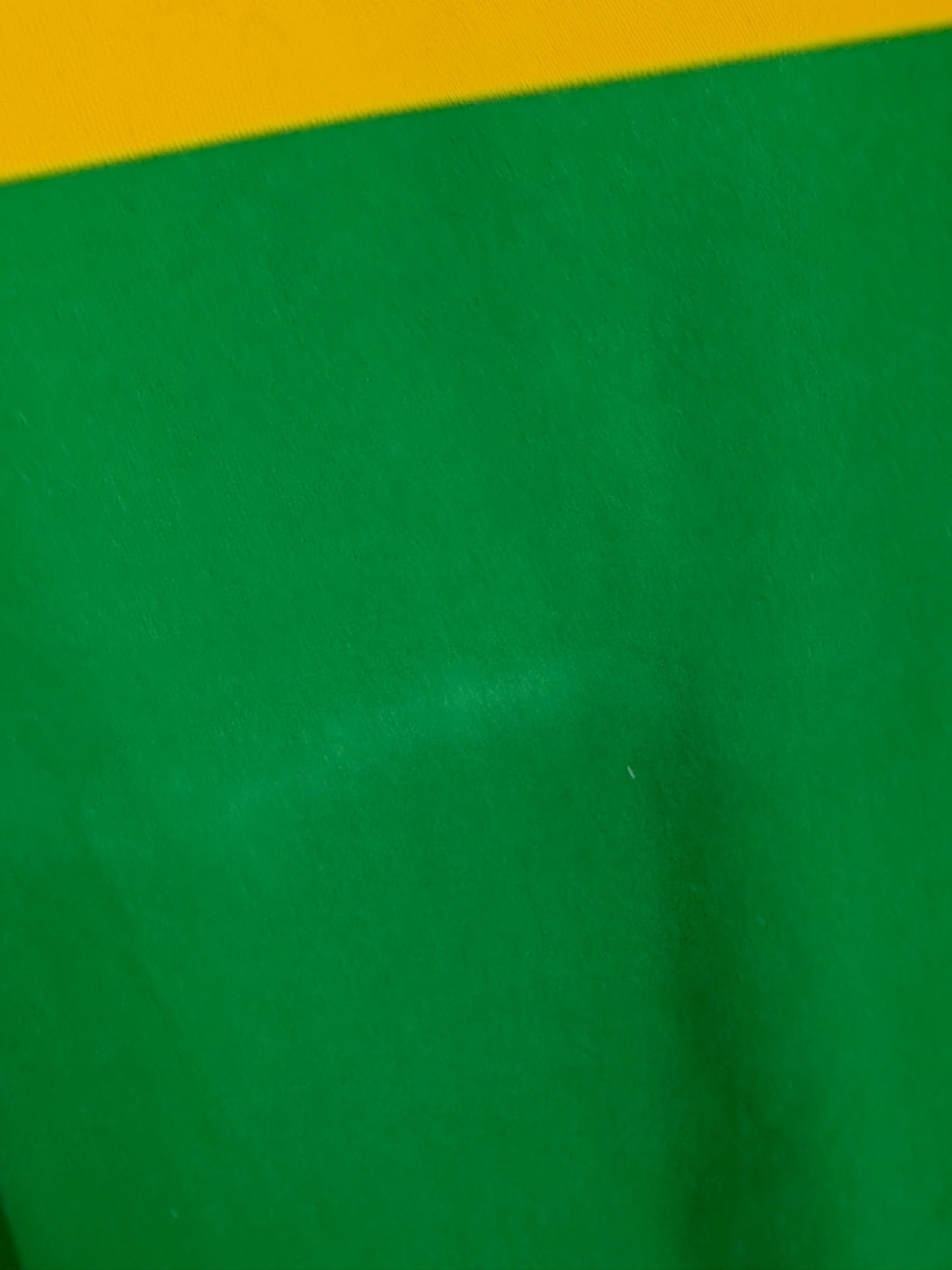 2000/02 Kerry GAA Jersey (L)