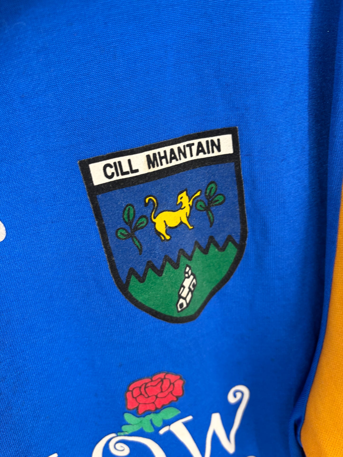 1999 Match-Worn Wicklow GAA Jersey - #8
