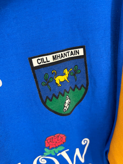 1999 Match-Worn Wicklow GAA Jersey - #8