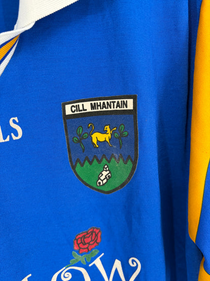 1999 Match-Worn Wicklow GAA Jersey - #13