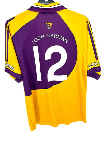 Match-Worn 2006/07 Wexford GAA Jersey - #12