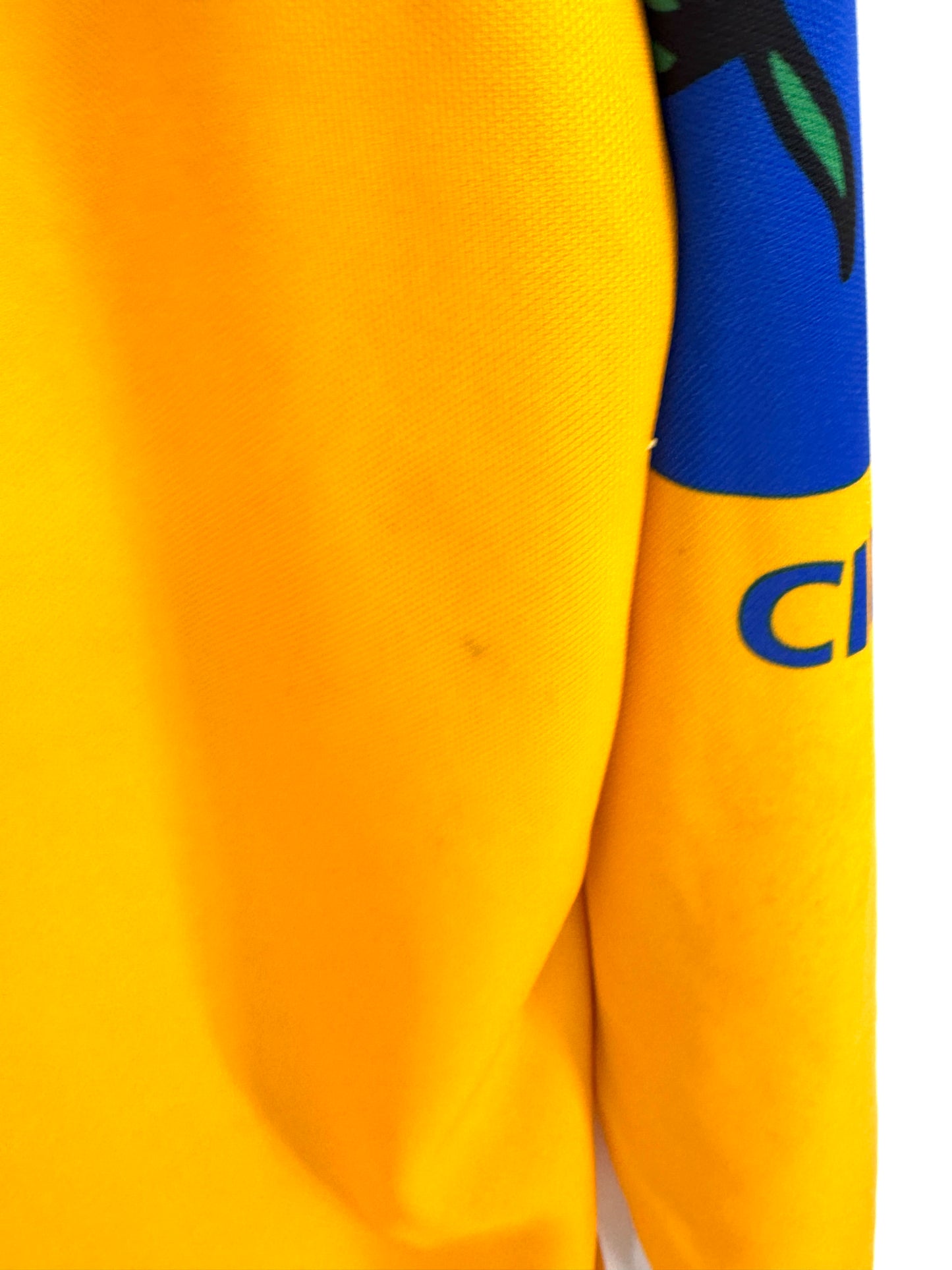 Match-Worn 1999/02 Wicklow GAA GK Jersey - #1